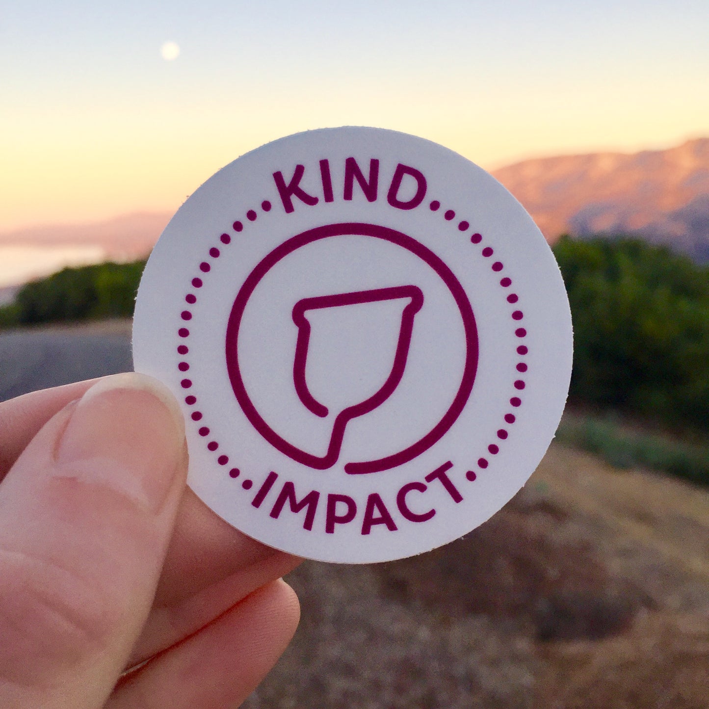 Kind Impact: Donation + Sticker