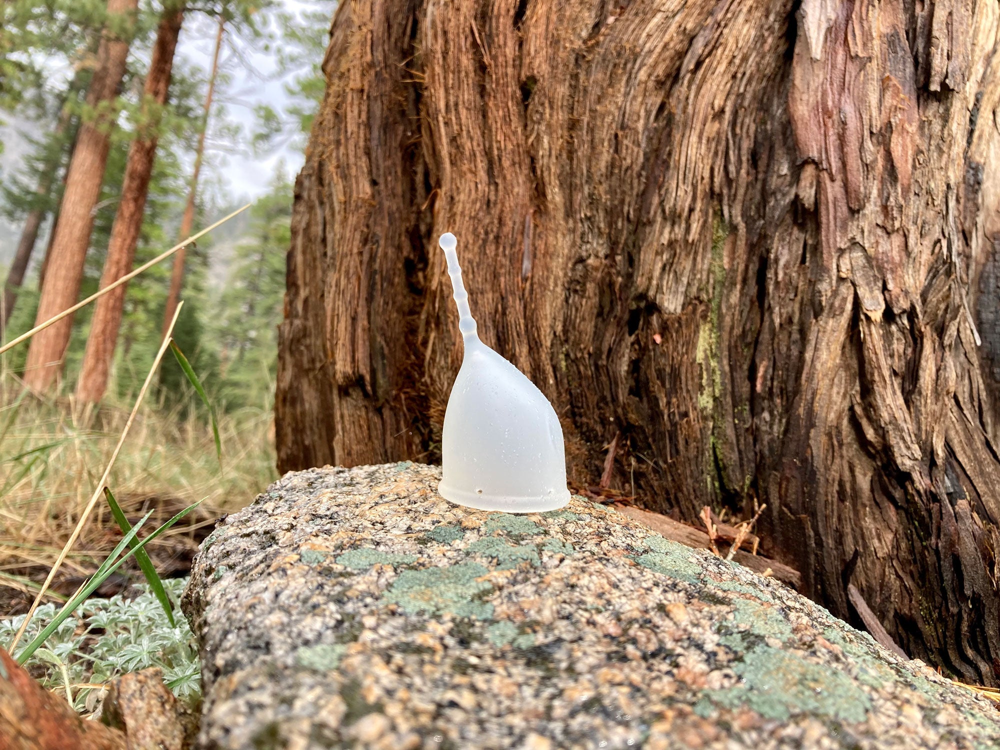 Sustainability & Menstrual Cups- Better For Your Body & The Planet